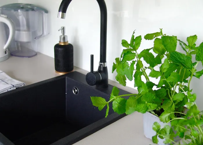 Beige Exclusive شقة *